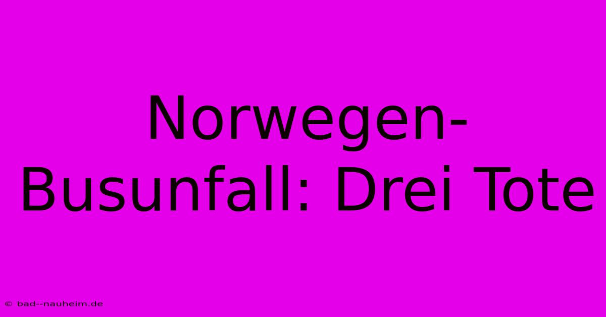 Norwegen-Busunfall: Drei Tote