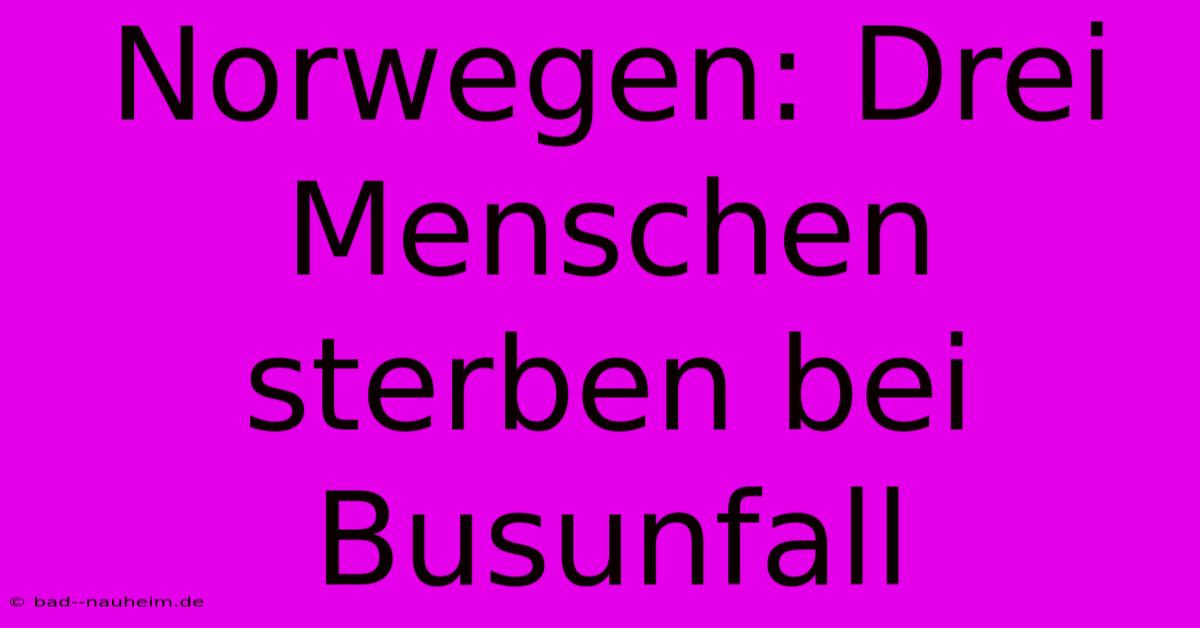 Norwegen: Drei Menschen Sterben Bei Busunfall