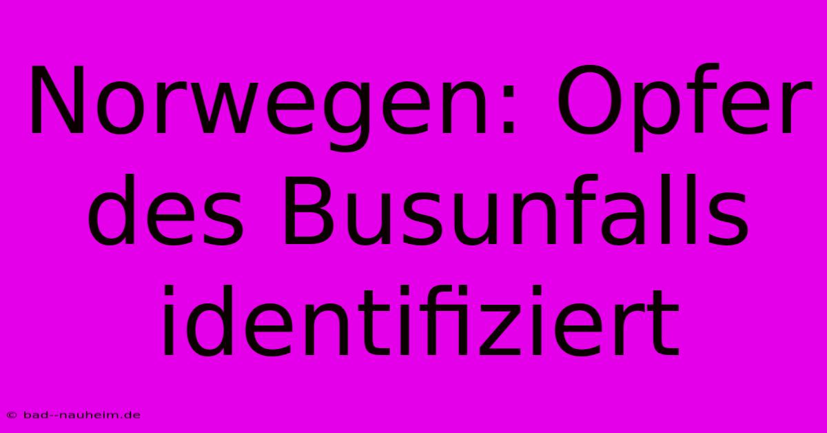 Norwegen: Opfer Des Busunfalls Identifiziert