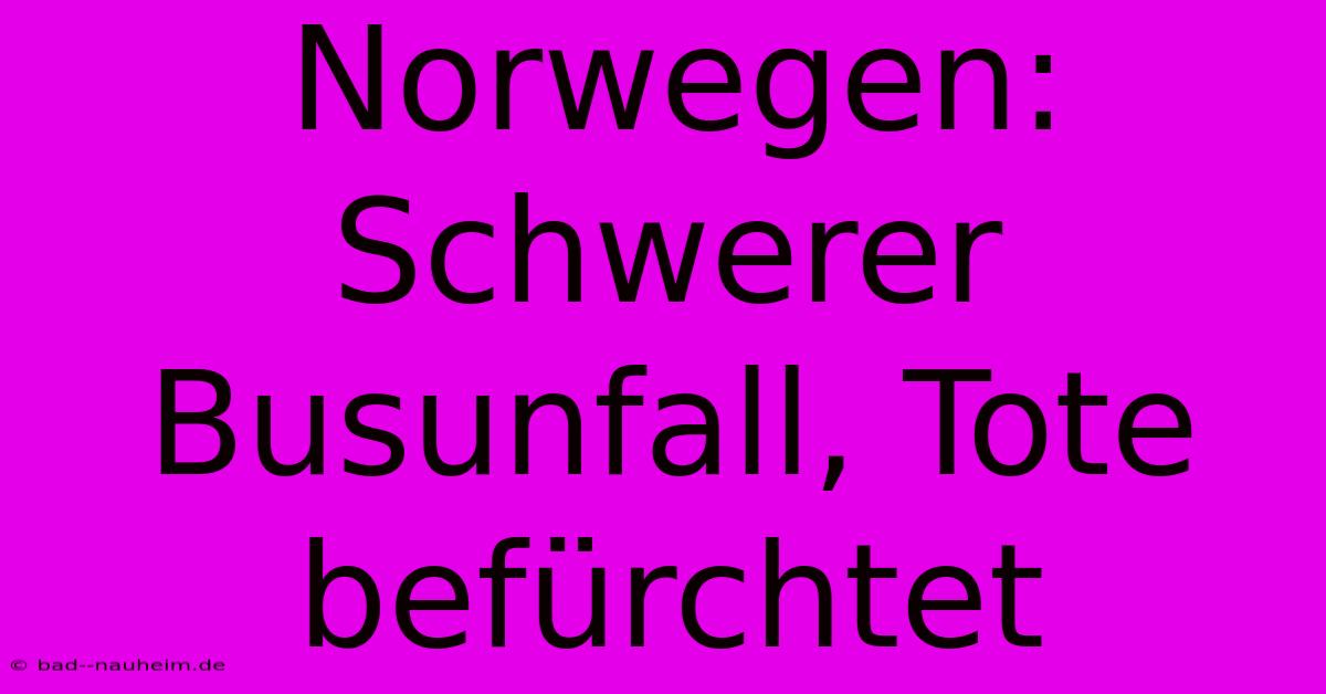 Norwegen: Schwerer Busunfall, Tote Befürchtet