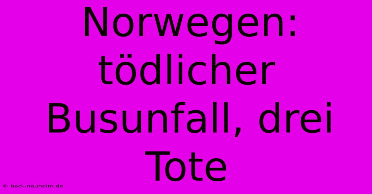 Norwegen: Tödlicher Busunfall, Drei Tote