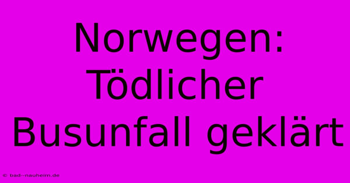 Norwegen: Tödlicher Busunfall Geklärt