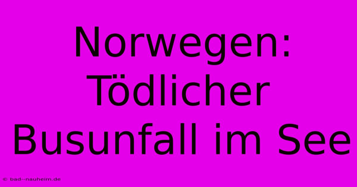 Norwegen: Tödlicher Busunfall Im See