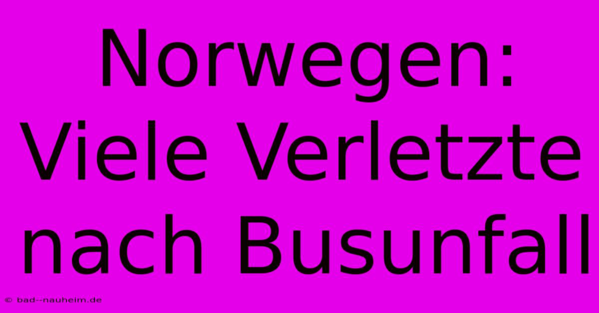 Norwegen: Viele Verletzte Nach Busunfall