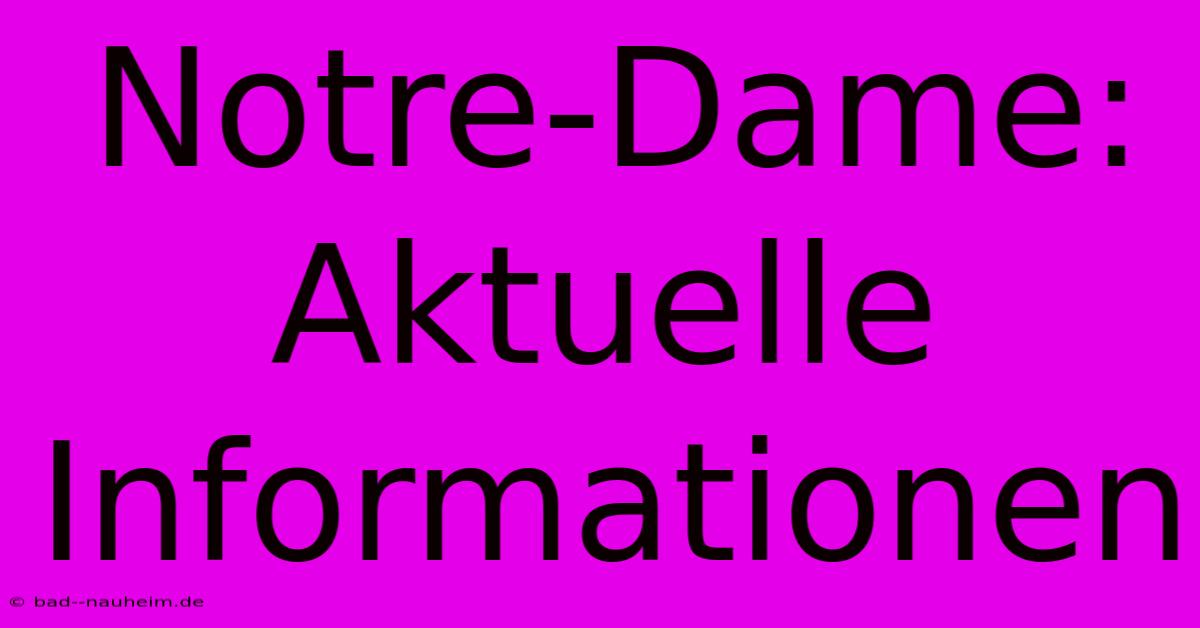 Notre-Dame:  Aktuelle Informationen