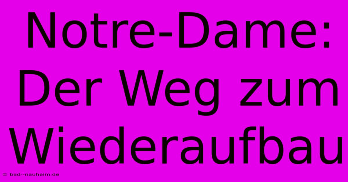 Notre-Dame:  Der Weg Zum Wiederaufbau