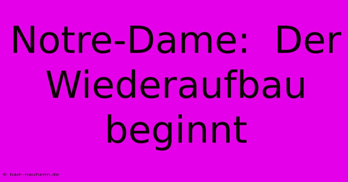 Notre-Dame:  Der Wiederaufbau Beginnt