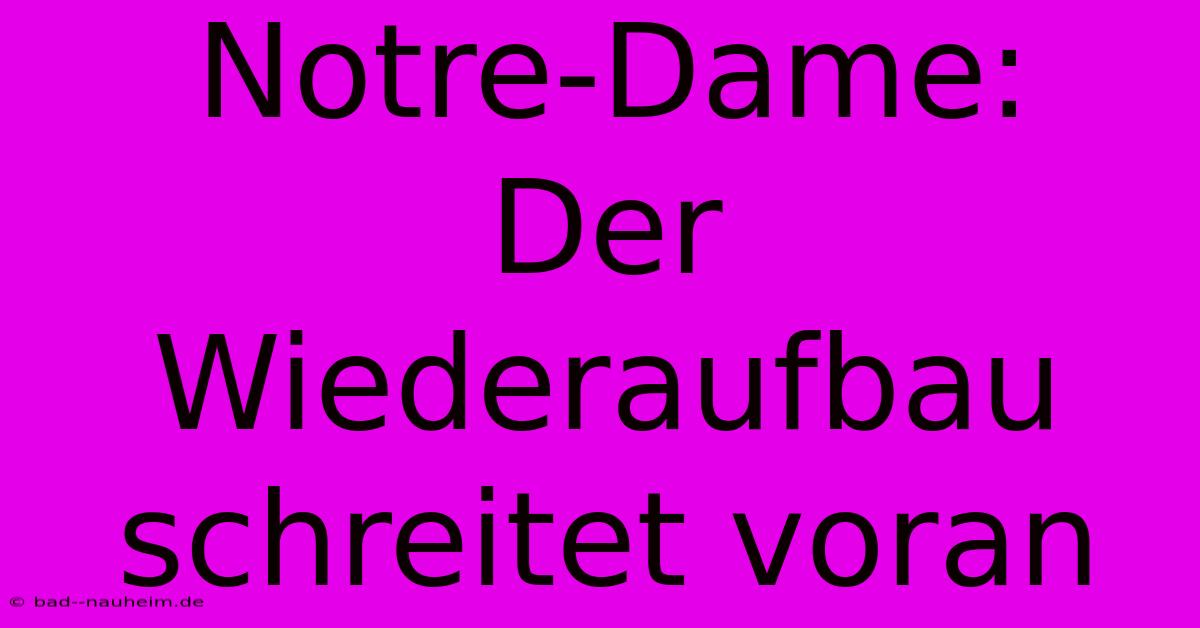 Notre-Dame:  Der Wiederaufbau Schreitet Voran