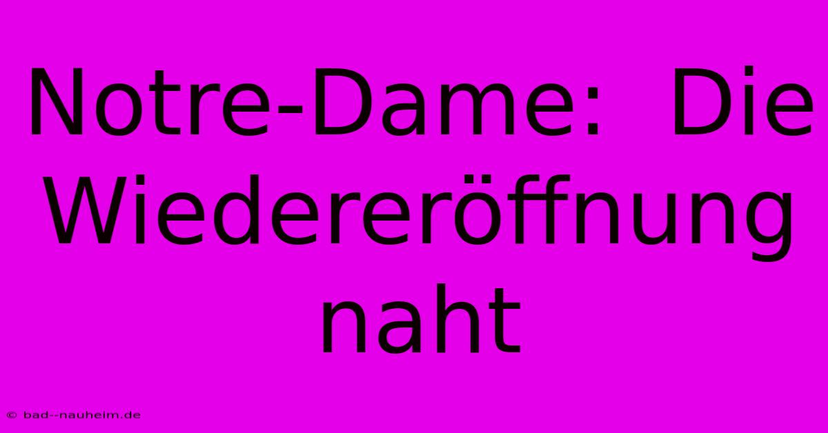 Notre-Dame:  Die Wiedereröffnung Naht