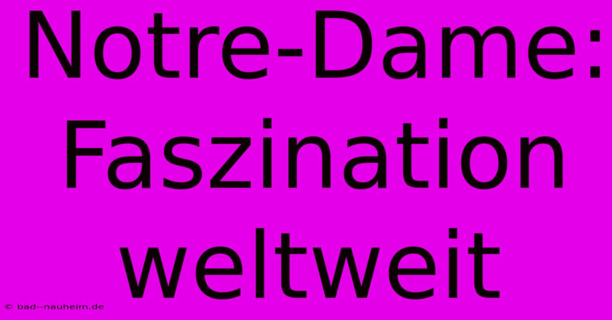 Notre-Dame:  Faszination Weltweit