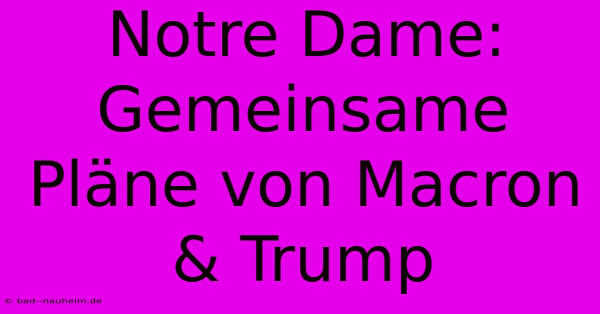 Notre Dame: Gemeinsame Pläne Von Macron & Trump