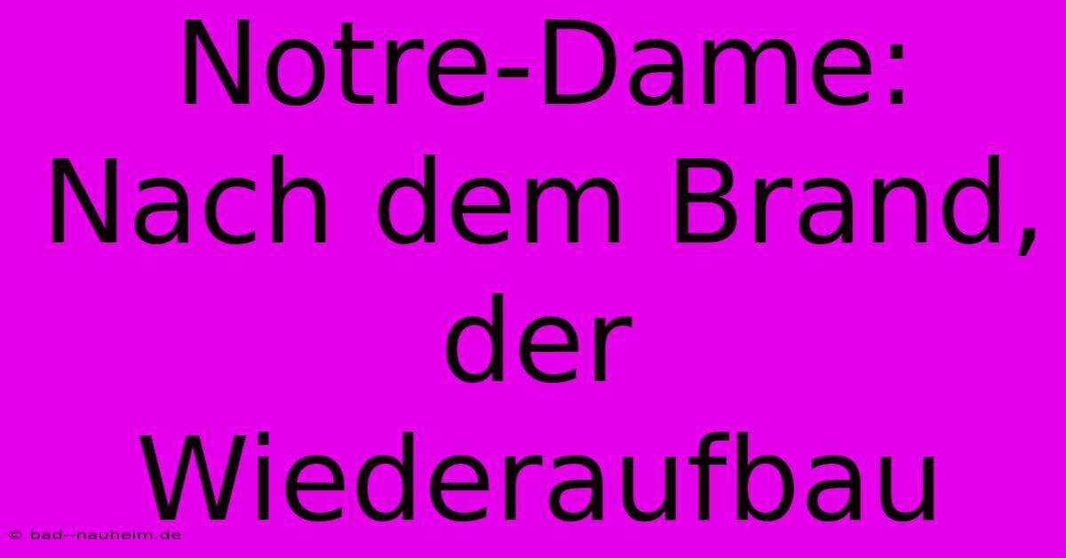 Notre-Dame:  Nach Dem Brand, Der Wiederaufbau