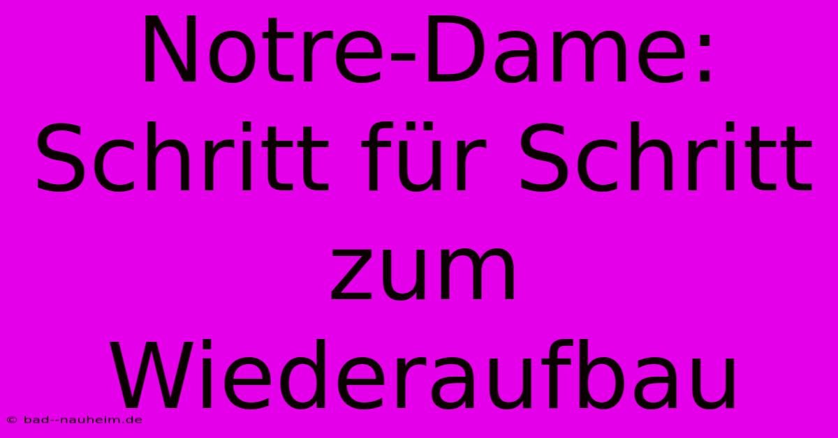 Notre-Dame:  Schritt Für Schritt Zum Wiederaufbau