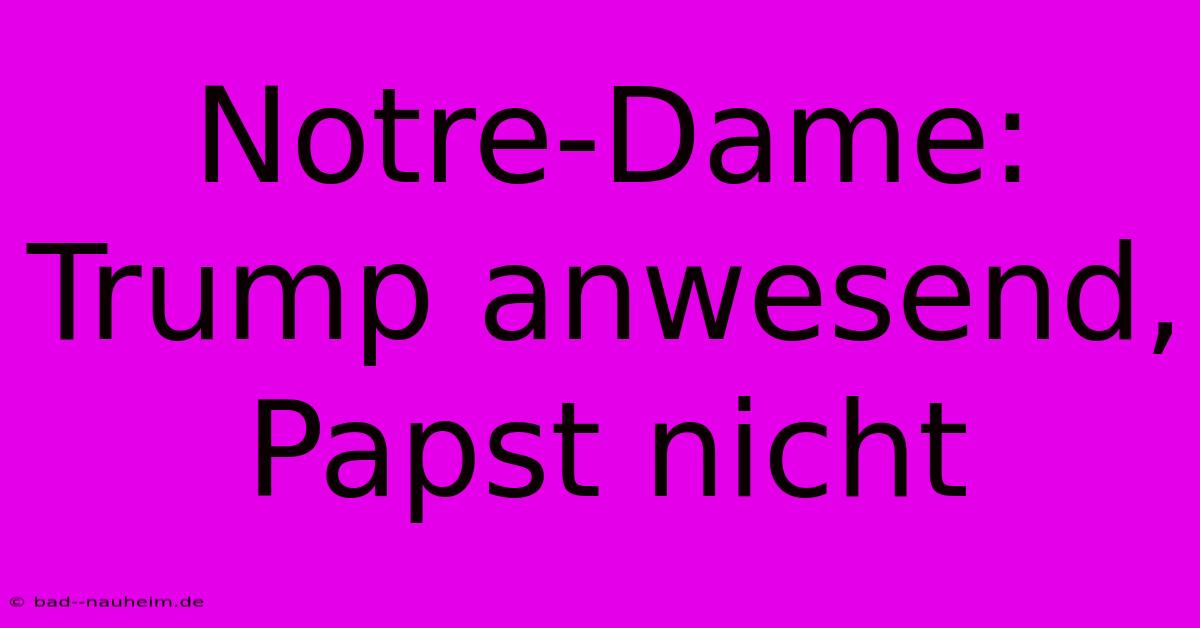 Notre-Dame: Trump Anwesend, Papst Nicht