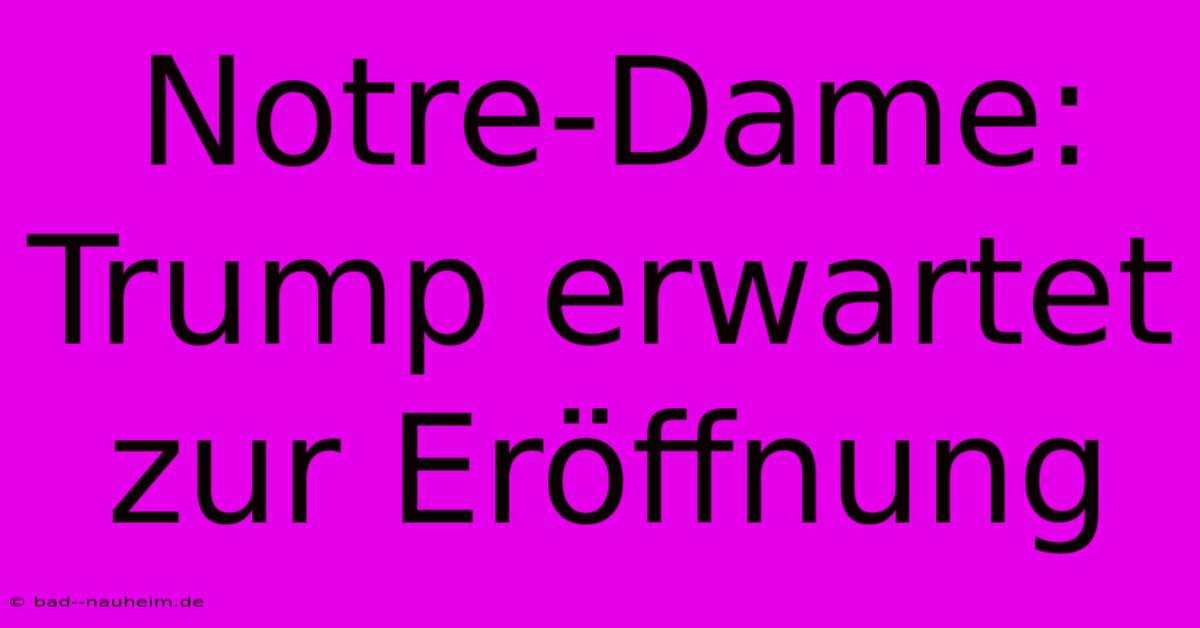 Notre-Dame:  Trump Erwartet Zur Eröffnung