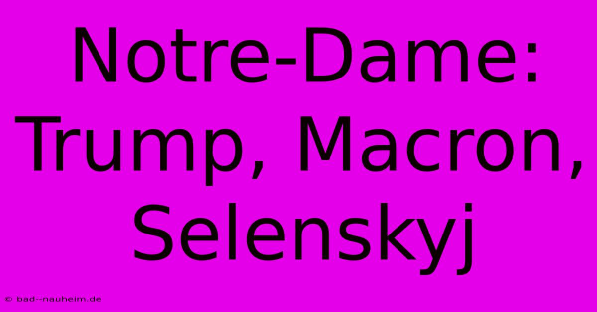 Notre-Dame: Trump, Macron, Selenskyj