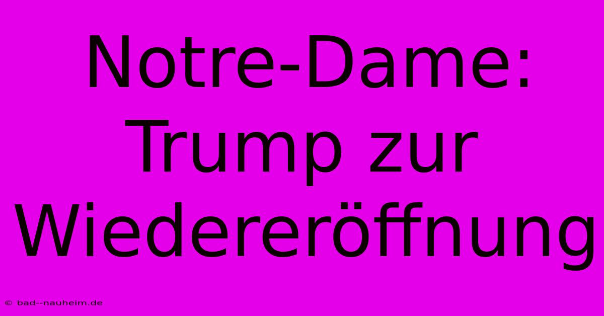 Notre-Dame:  Trump Zur Wiedereröffnung