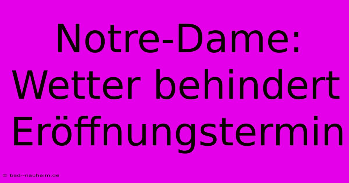 Notre-Dame: Wetter Behindert Eröffnungstermin