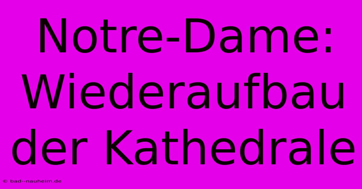 Notre-Dame: Wiederaufbau Der Kathedrale