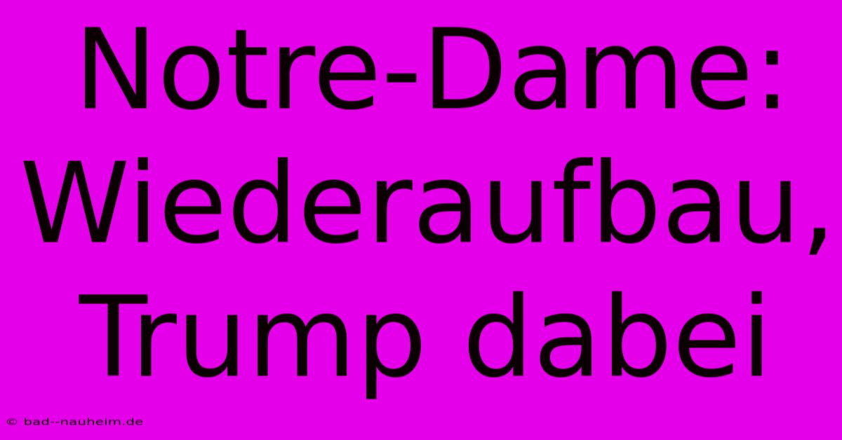 Notre-Dame: Wiederaufbau, Trump Dabei