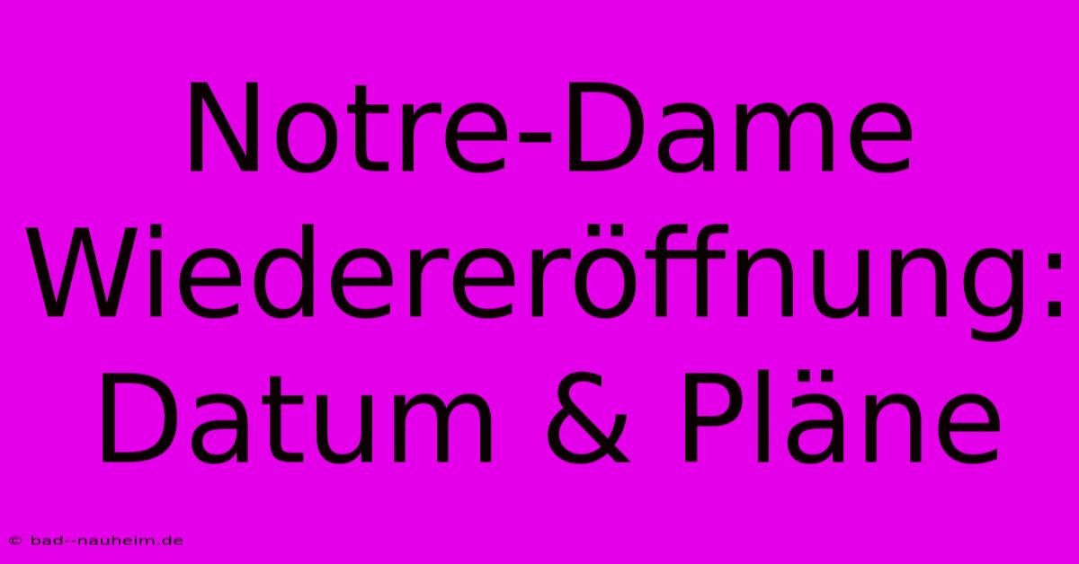 Notre-Dame Wiedereröffnung: Datum & Pläne