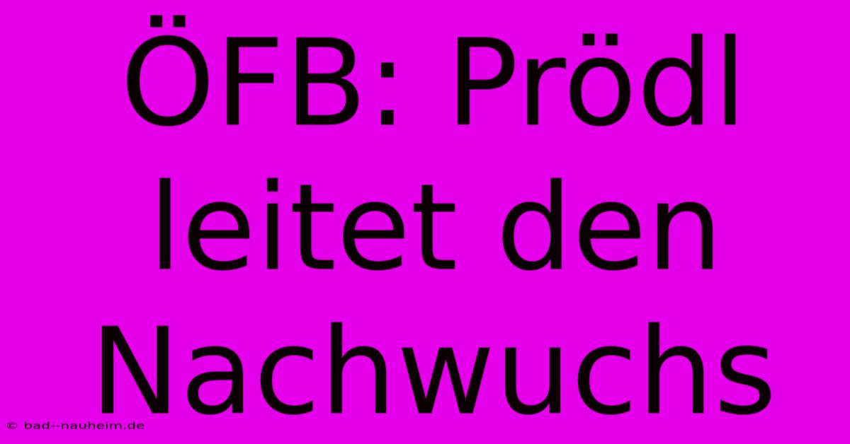 ÖFB: Prödl Leitet Den Nachwuchs