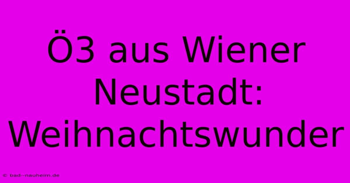 Ö3 Aus Wiener Neustadt: Weihnachtswunder