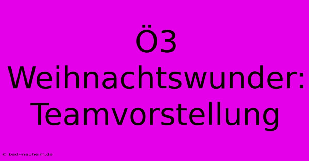 Ö3 Weihnachtswunder: Teamvorstellung