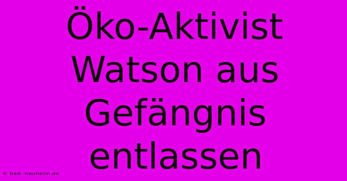 Öko-Aktivist Watson Aus Gefängnis Entlassen