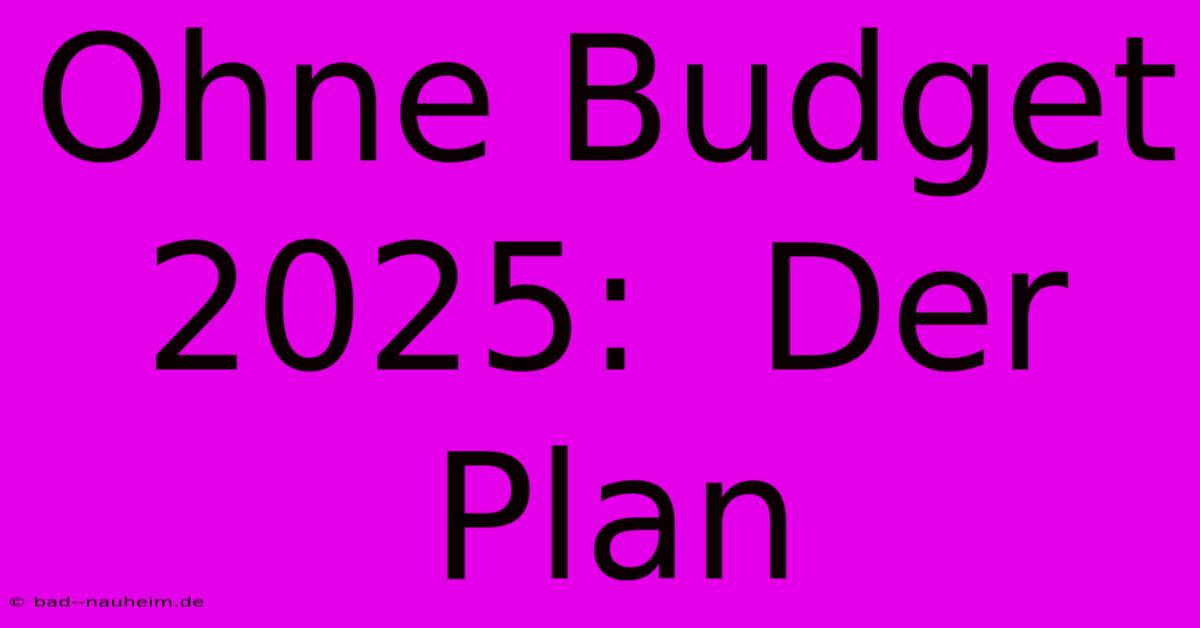 Ohne Budget 2025:  Der Plan