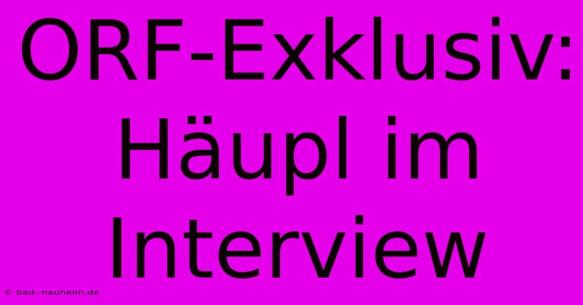 ORF-Exklusiv: Häupl Im Interview