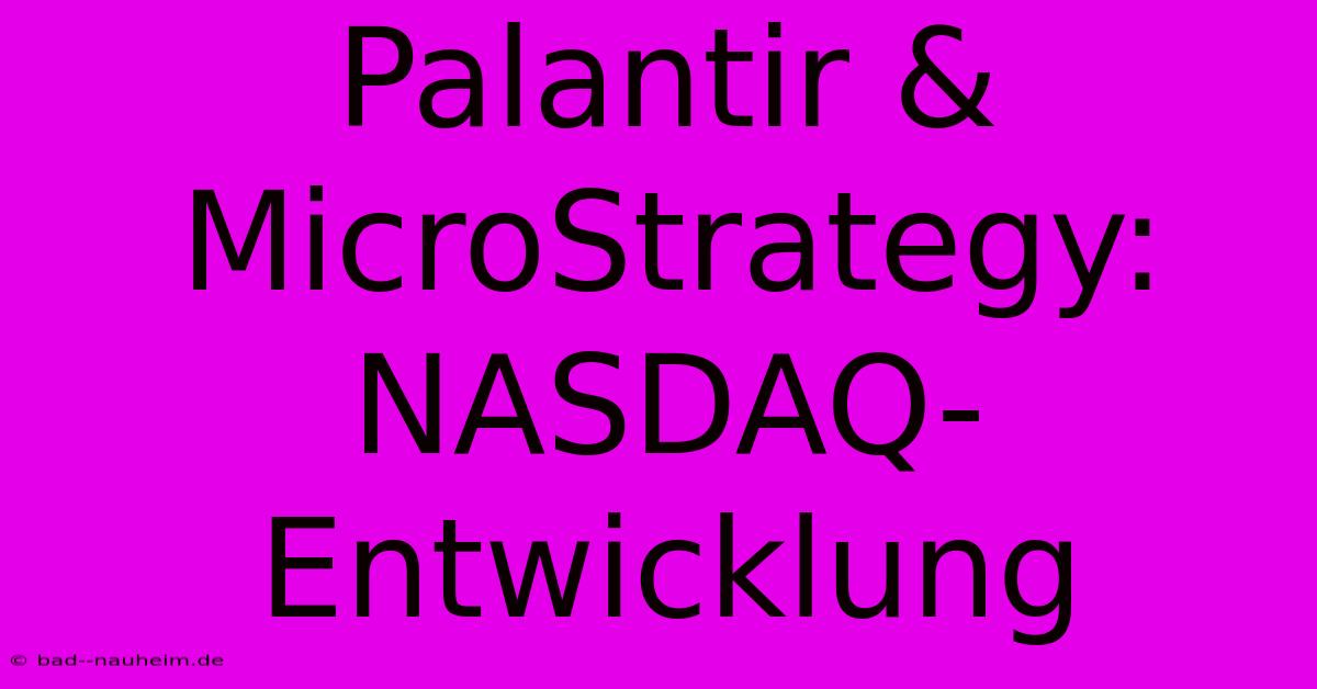 Palantir & MicroStrategy:  NASDAQ-Entwicklung