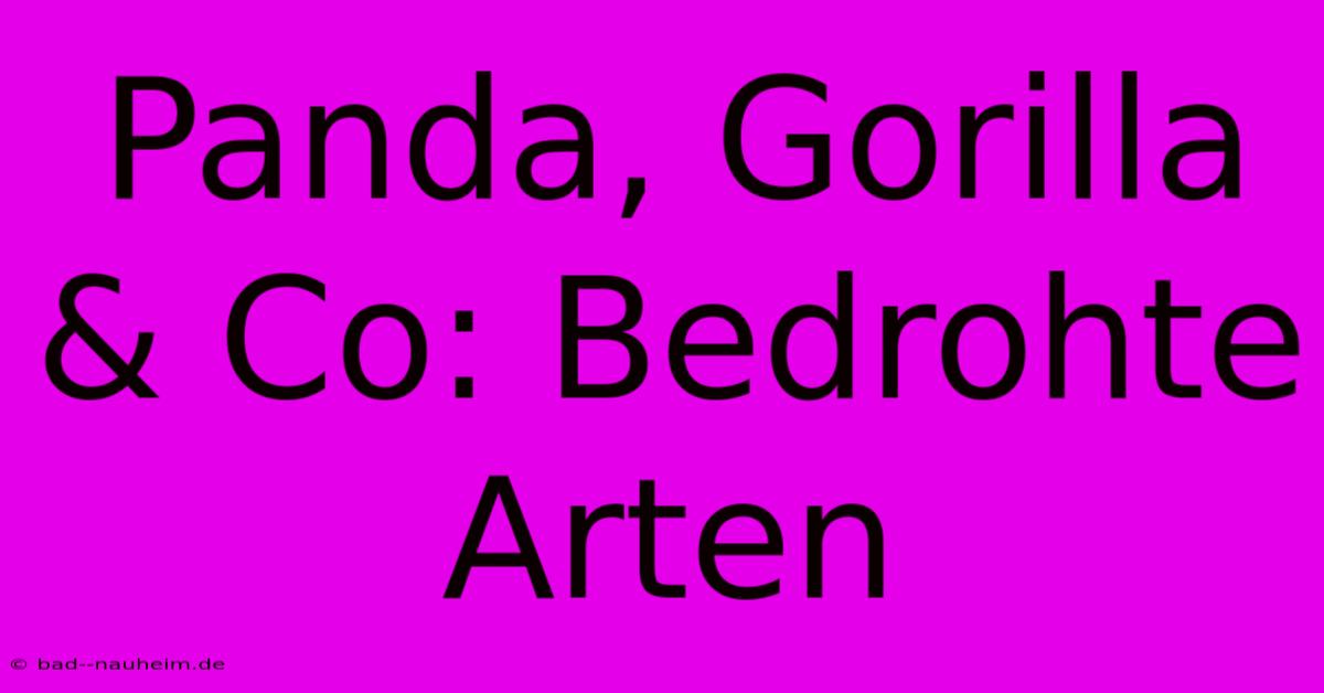 Panda, Gorilla & Co: Bedrohte Arten