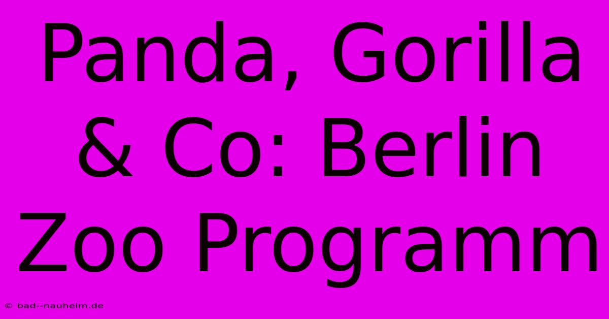 Panda, Gorilla & Co: Berlin Zoo Programm