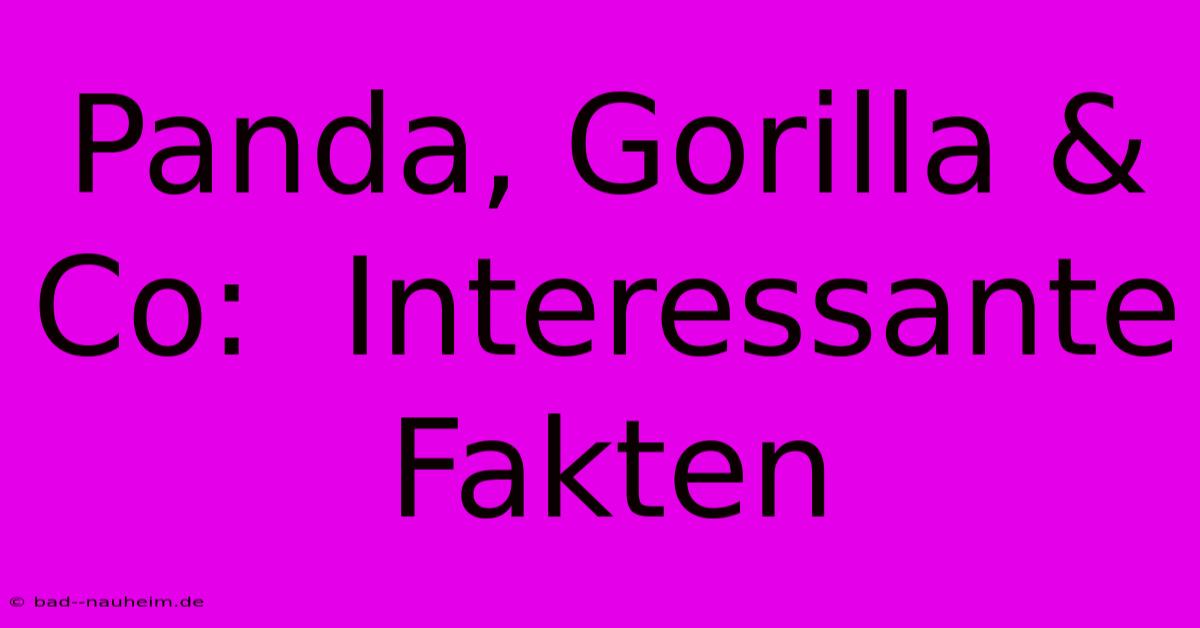 Panda, Gorilla & Co:  Interessante Fakten