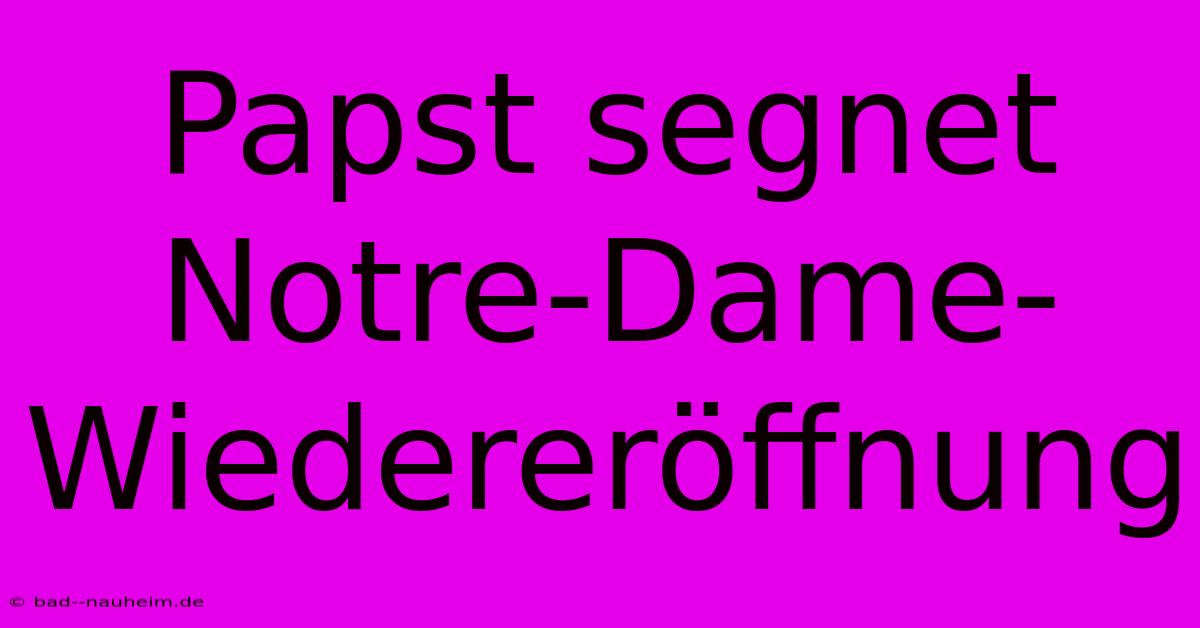 Papst Segnet Notre-Dame-Wiedereröffnung