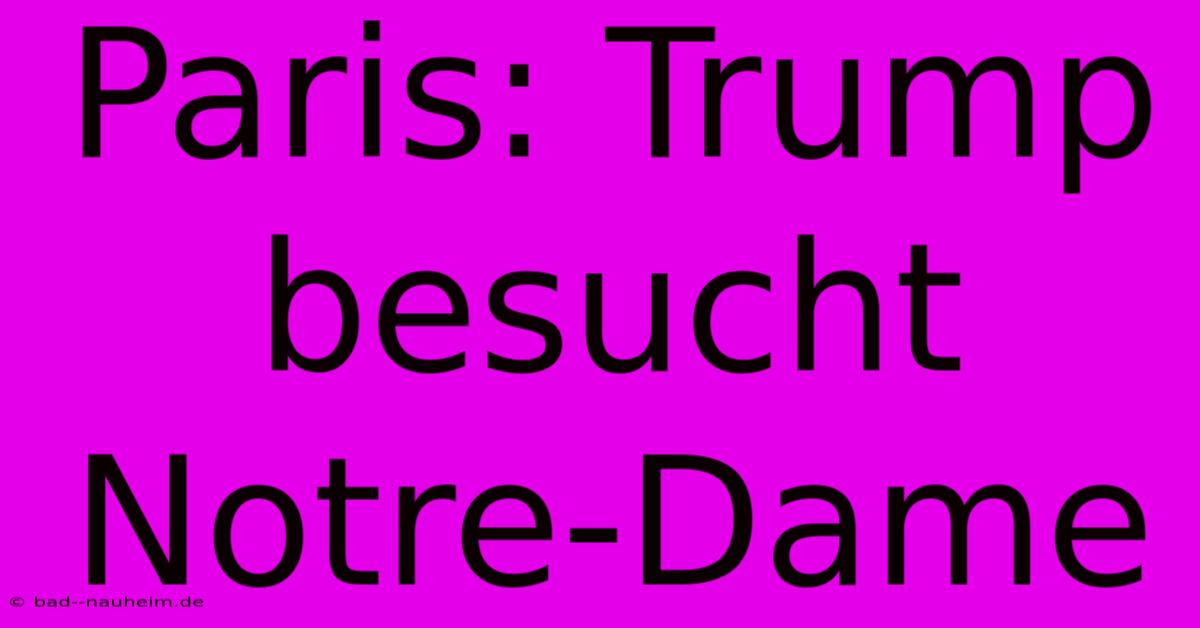 Paris: Trump Besucht Notre-Dame