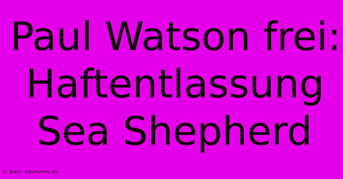 Paul Watson Frei: Haftentlassung Sea Shepherd