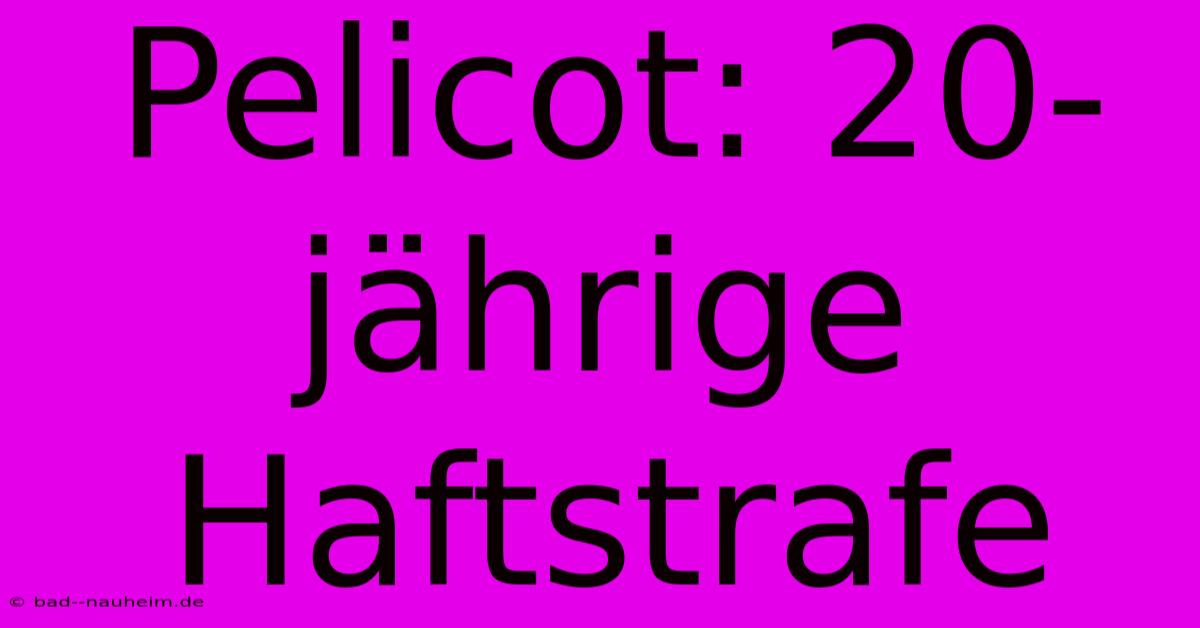 Pelicot: 20-jährige Haftstrafe