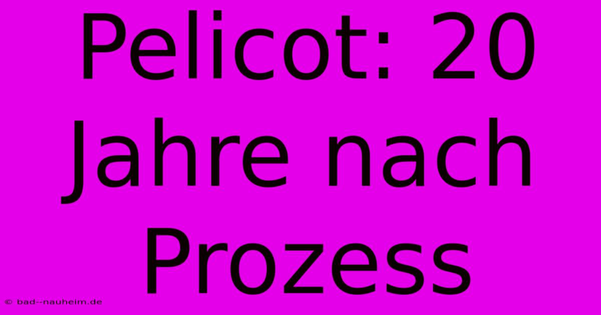 Pelicot: 20 Jahre Nach Prozess