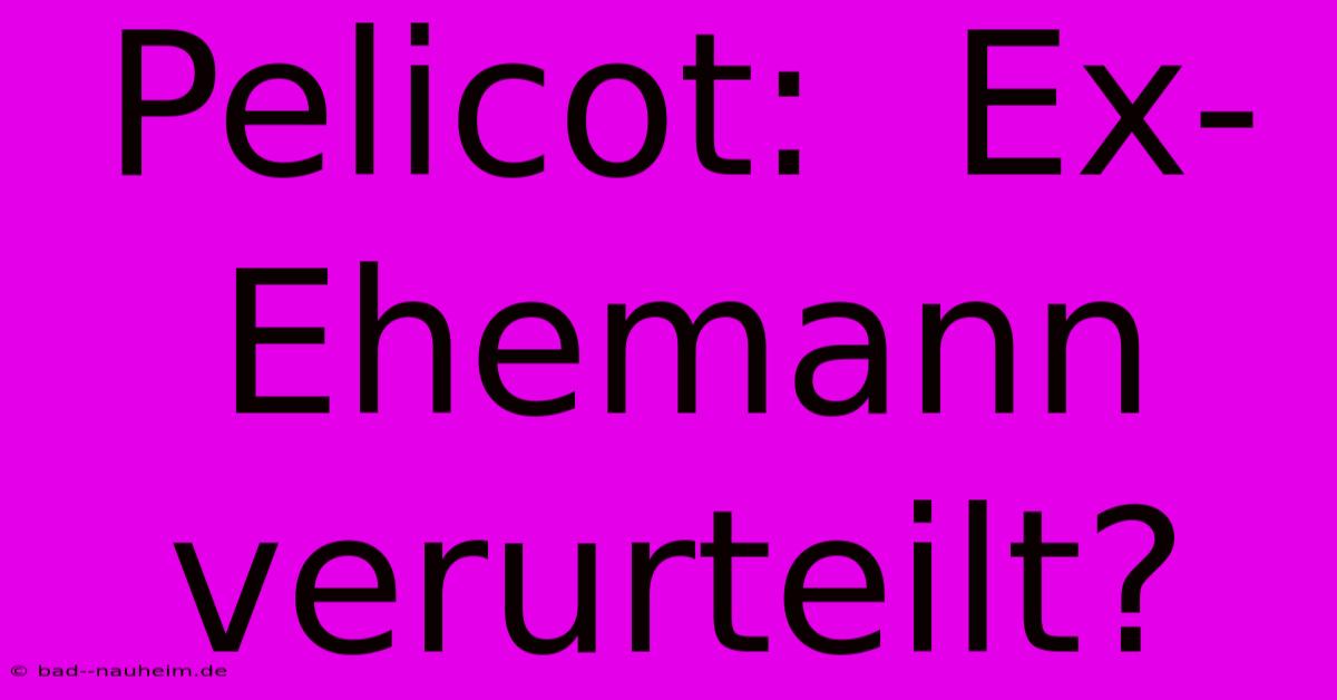 Pelicot:  Ex-Ehemann Verurteilt?