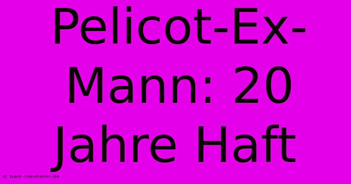 Pelicot-Ex-Mann: 20 Jahre Haft