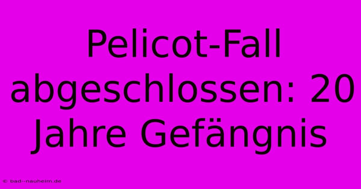 Pelicot-Fall Abgeschlossen: 20 Jahre Gefängnis