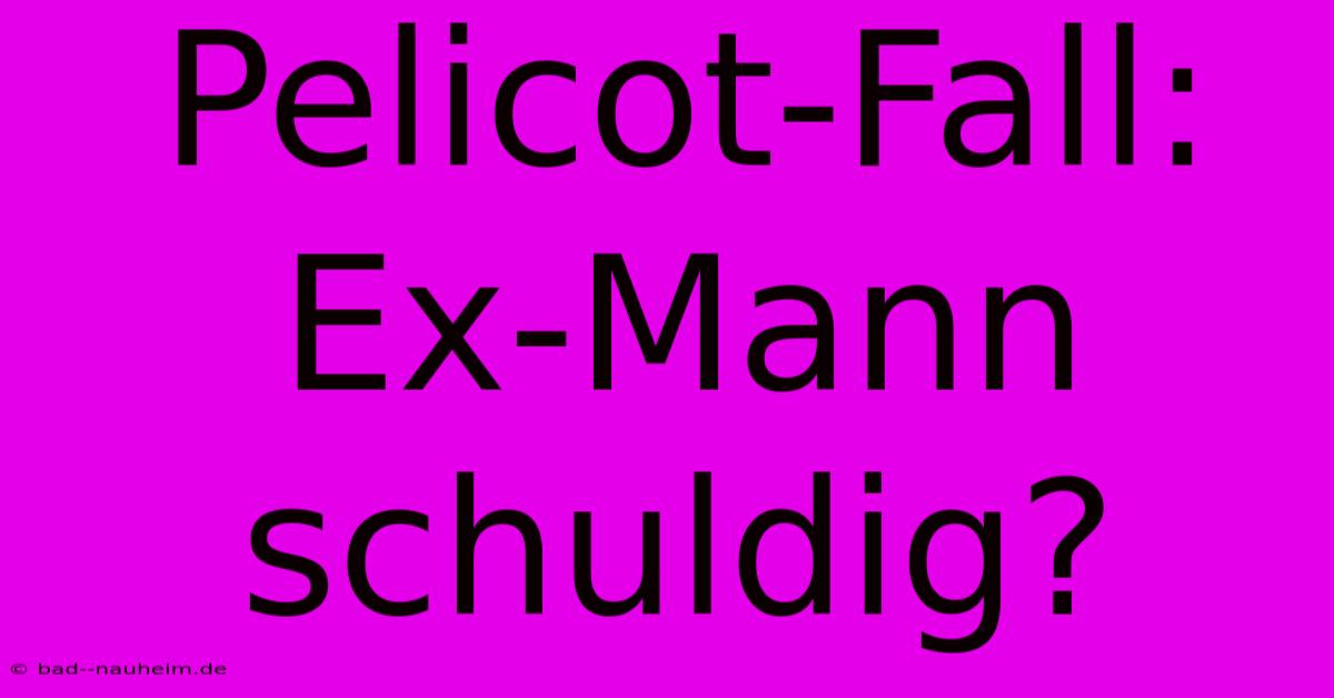 Pelicot-Fall: Ex-Mann Schuldig?