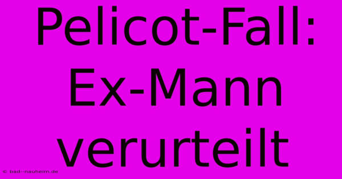 Pelicot-Fall: Ex-Mann Verurteilt