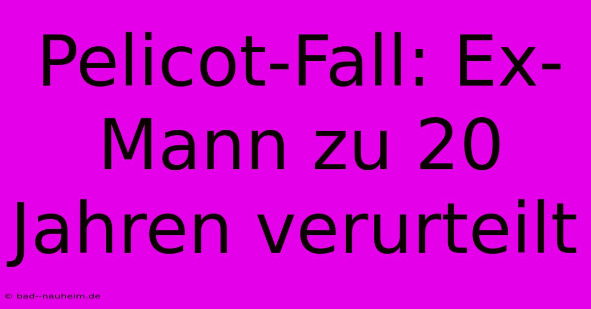 Pelicot-Fall: Ex-Mann Zu 20 Jahren Verurteilt