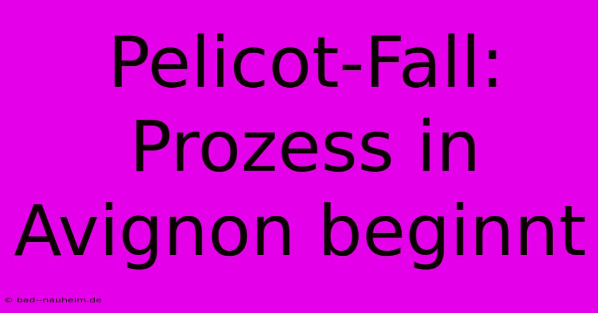 Pelicot-Fall: Prozess In Avignon Beginnt