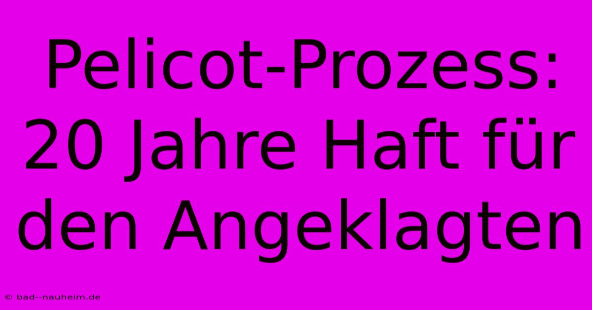 Pelicot-Prozess: 20 Jahre Haft Für Den Angeklagten