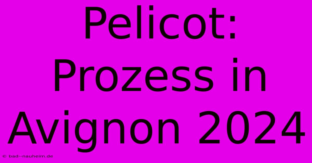 Pelicot: Prozess In Avignon 2024