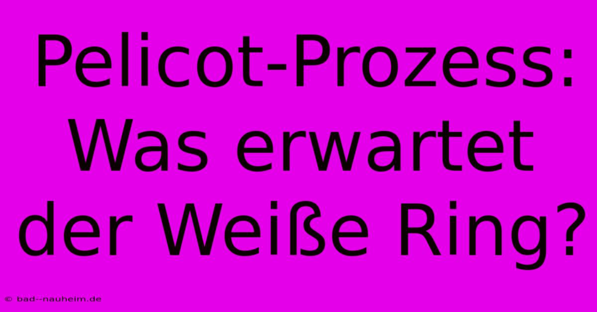 Pelicot-Prozess:  Was Erwartet Der Weiße Ring?